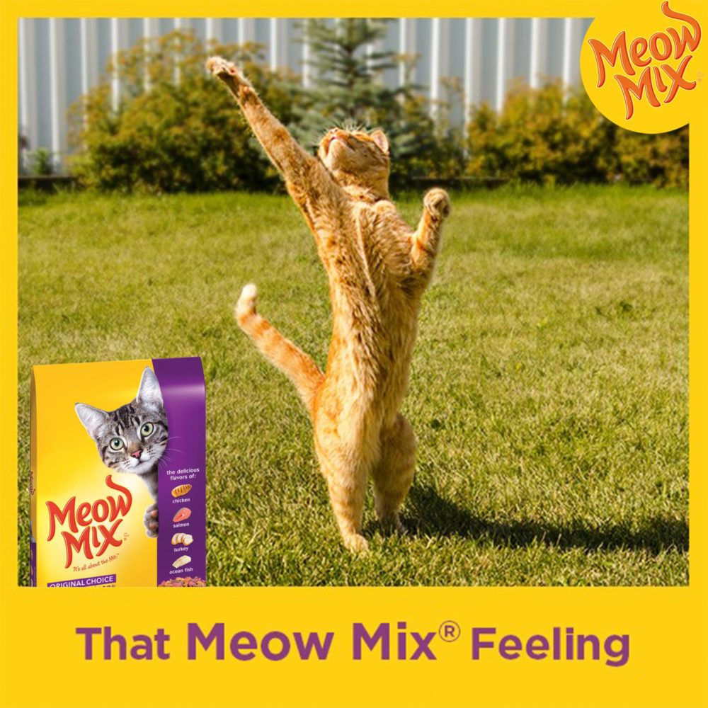 Meow Mix social media competition